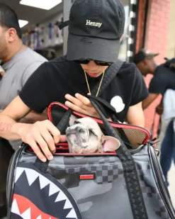 PET CARRIERS><noscript><img width=