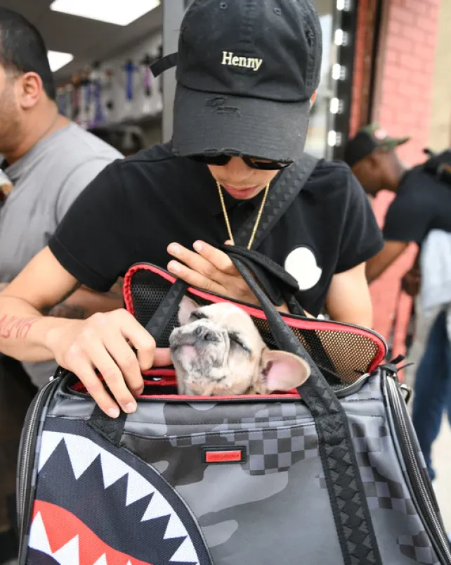 PET CARRIERS>SPRAYGROUND 3AM PET CARRIER