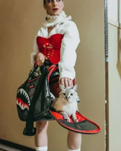PET CARRIERS><noscript><img width=
