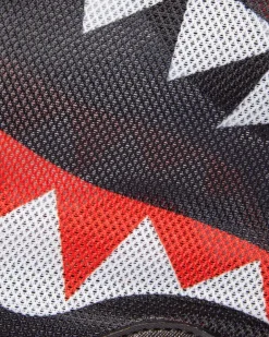 PET CARRIERS><noscript><img width=