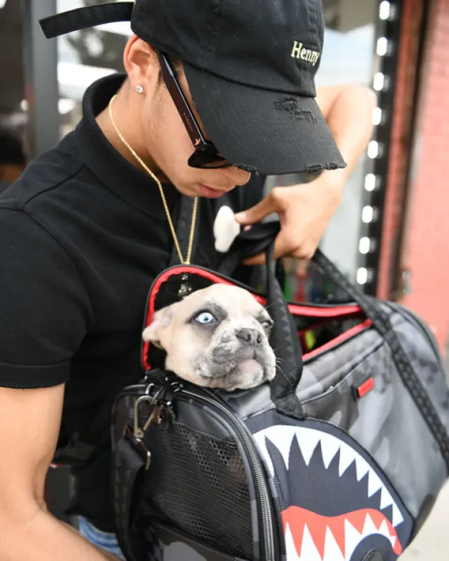 PET CARRIERS>SPRAYGROUND 3AM PET CARRIER