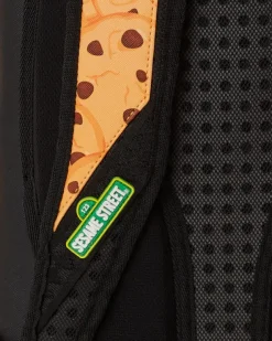BACKPACKS><noscript><img width=