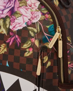 BACKPACKS><noscript><img width=