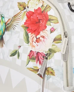 BACKPACKS><noscript><img width=