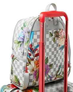 CARRY-ON LUGGAGE><noscript><img width=