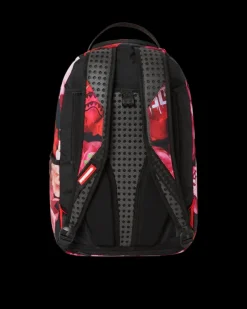 BACKPACKS><noscript><img width=