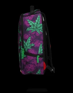 BACKPACKS><noscript><img width=