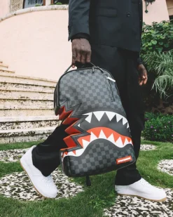 BACKPACKS><noscript><img width=