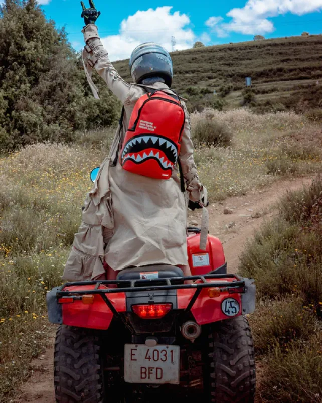 BACKPACKS>SPRAYGROUND SHARK CENTRAL (RED) (DLXV)