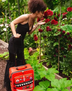 CARRY-ON LUGGAGE><noscript><img width=