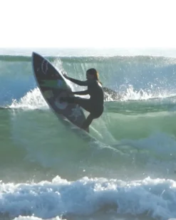 SURFBOARDS><noscript><img width=